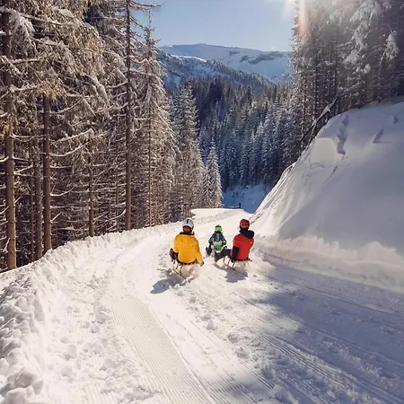 At The With Terrace Achensee